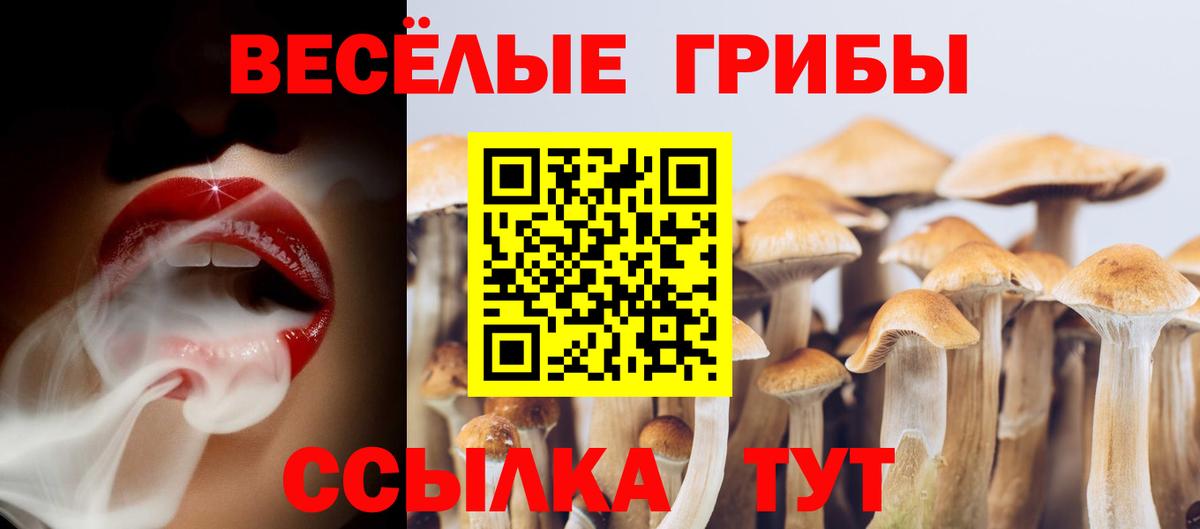 Галлюциногенные грибы GOLDEN TEACHER  Галлюциногенные грибы GOLDEN TEACHER  Когалым  Вход с VPN 
